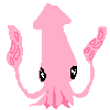 generic squid